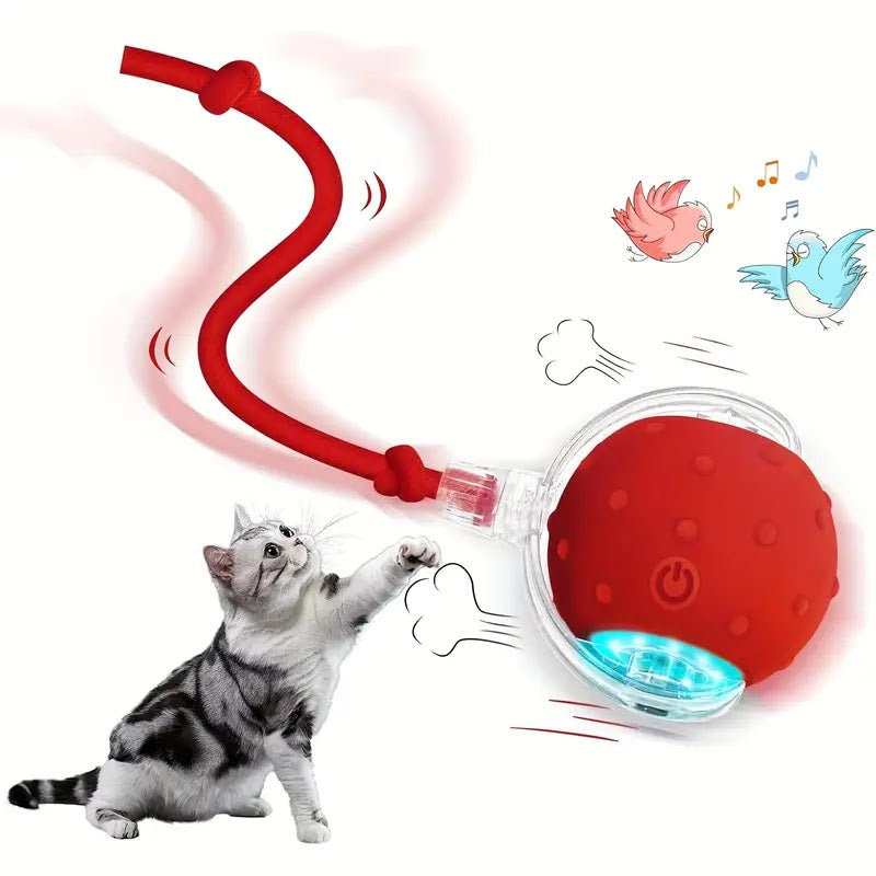 🐾 Jucărie Interactivă pentru Animale – Activare la Atingere Glorio