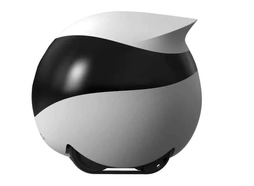 CAMERA ROBOT EBOSE Glorio