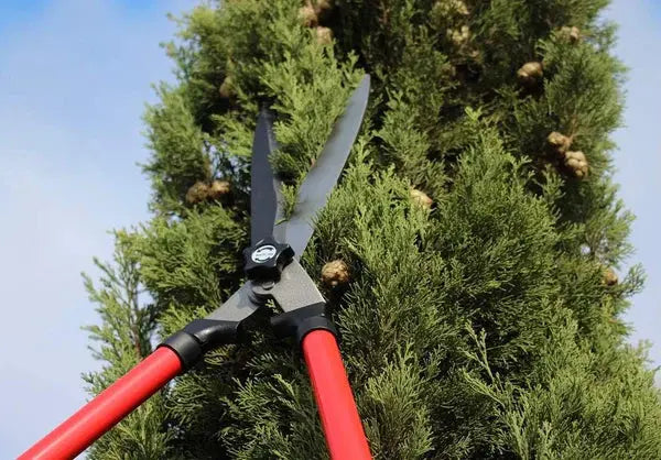 Foarfeca de Gradina GERMAN Garden PRO , Cu Lama Din Otel Carbon, 23 cm Lungime Doimeseriasi.ro