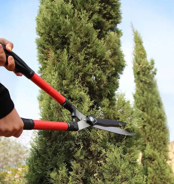 Foarfeca de Gradina GERMAN Garden PRO , Cu Lama Din Otel Carbon, 23 cm Lungime Doimeseriasi.ro