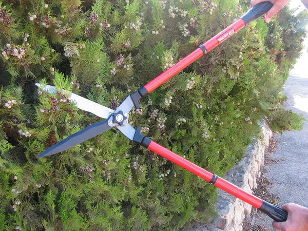 Foarfeca de Gradina GERMAN Garden PRO , Cu Lama Din Otel Carbon, 23 cm Lungime Doimeseriasi.ro